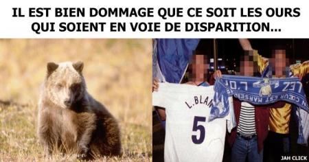 oue snif