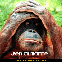 le pauvre
