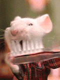 il a pas besoin de dentiste lui lol