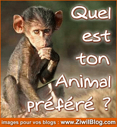 alors c'est quoi toi?