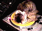 il fait le dj ou un tour de manege